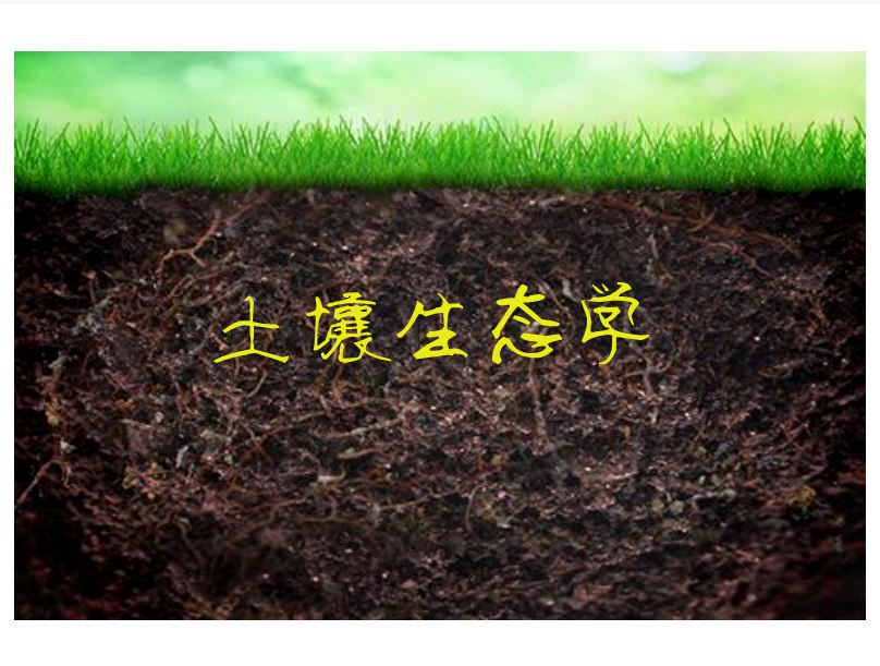 土壤生态学(生态学的新兴分支学科之一) 土壤生态学(生态学的新兴分支学科之一)