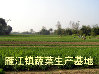 雁江镇 雁江镇