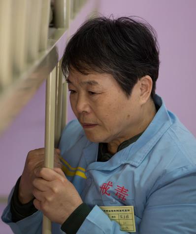 刺儿头