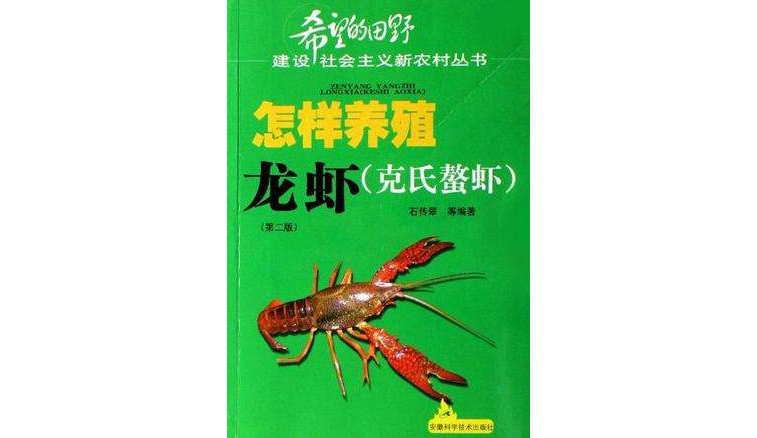 怎样养殖龙虾 怎样养殖龙虾