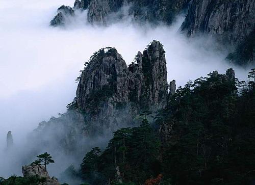 云雾山草原自然保护区 云雾山草原自然保护区