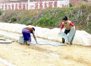 雁江镇 雁江镇