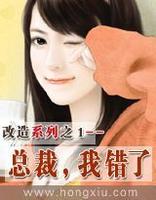 总裁,我错了 总裁,我错了