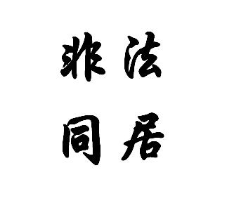 非法同居 非法同居