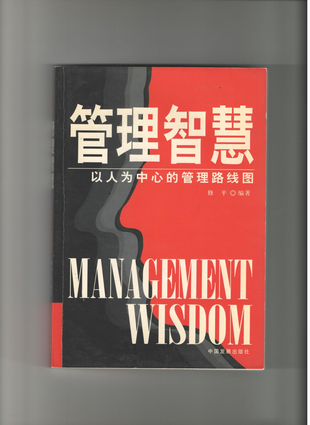 管理智慧(2005年中国发展出版社出版图书) 管理智慧(2005年中国发展出版社出版图书)