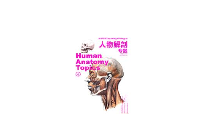 人物解剖专题 人物解剖专题