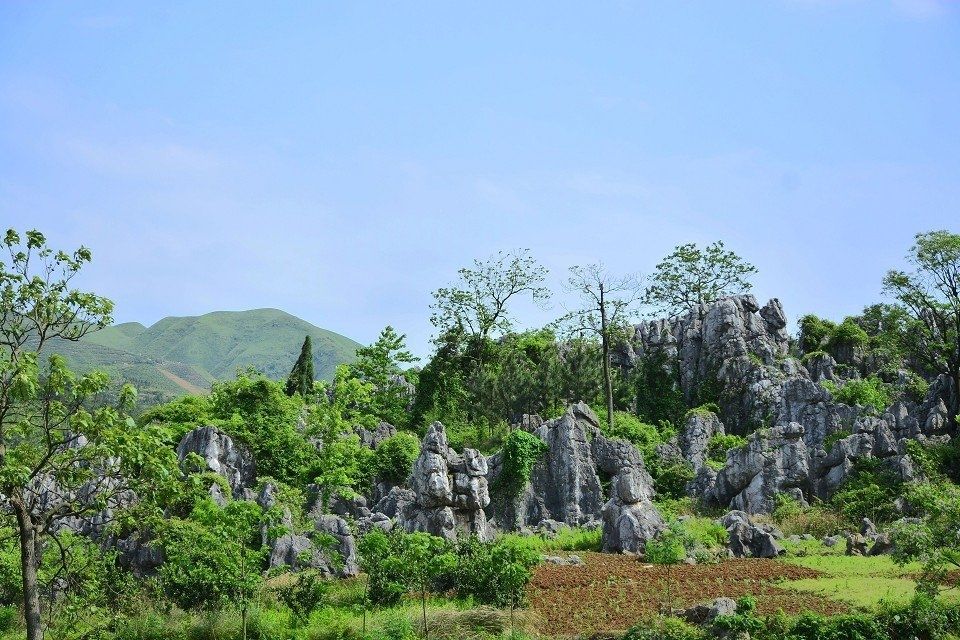 双凤(湖南邵东县双凤乡) 双凤(湖南邵东县双凤乡)
