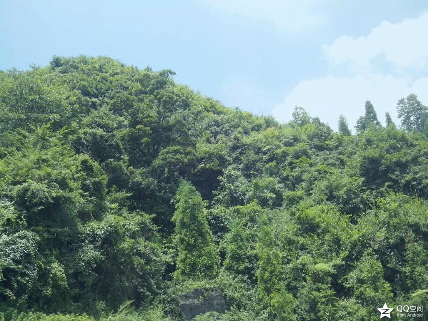 上坪寨乡 上坪寨乡