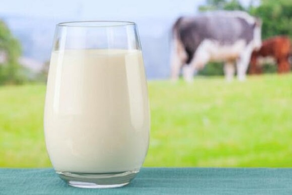 乳糖渗透酶 乳糖渗透酶