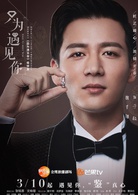 只为遇见你(2018年张铭恩、文咏珊主演电视剧)