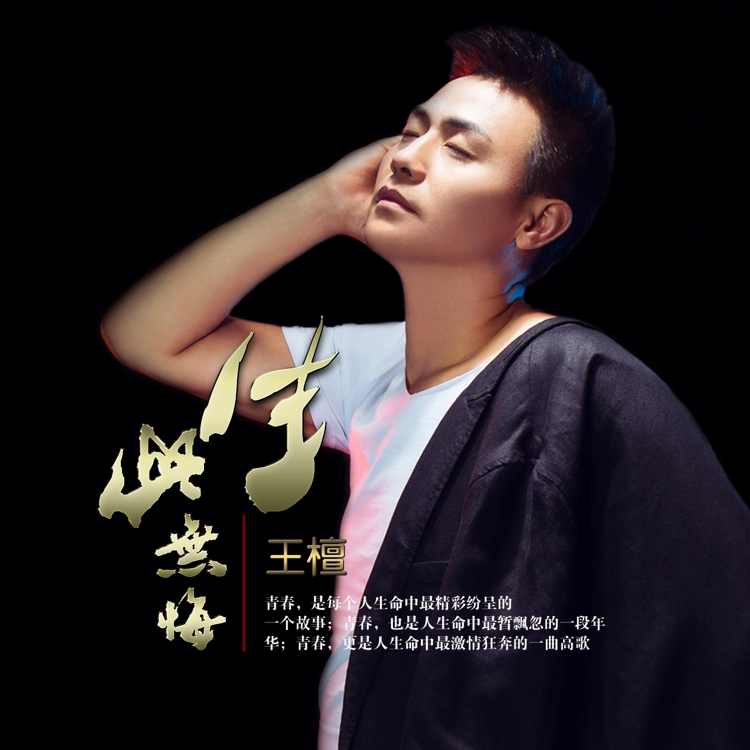 此生无悔(歌曲) 此生无悔(歌曲)