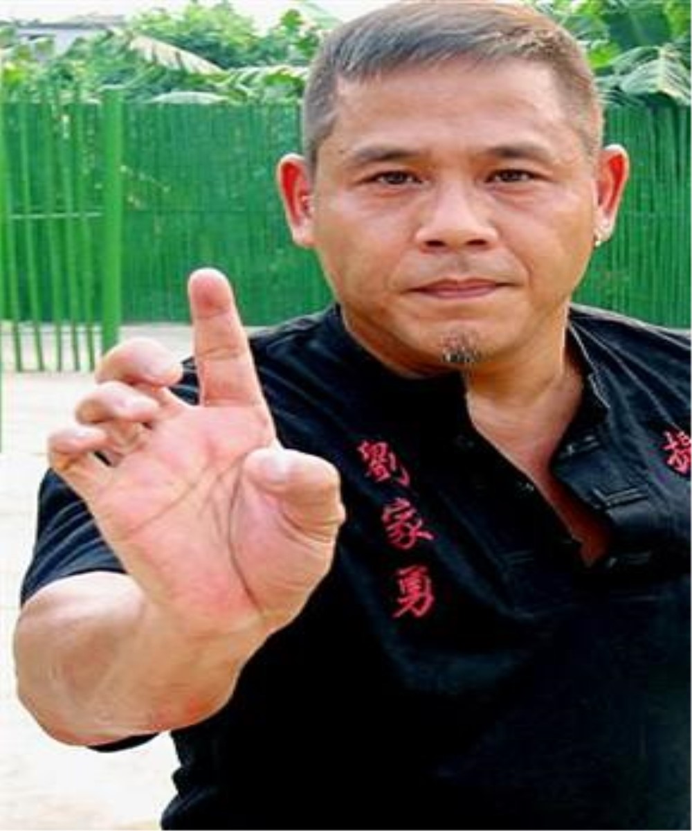刘家勇(香港中外洪拳国术会馆永远会长) 刘家勇(香港中外洪拳国术会馆永远会长)
