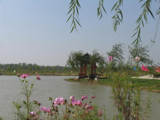 湖边小亭 湖边小亭