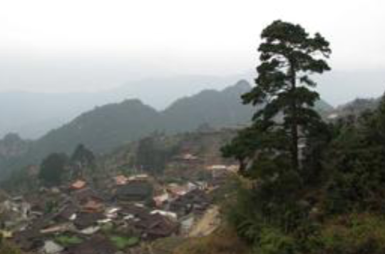桑村(河南延津县丰庄镇下辖村) 桑村(河南延津县丰庄镇下辖村)