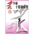十路少林拳 十路少林拳
