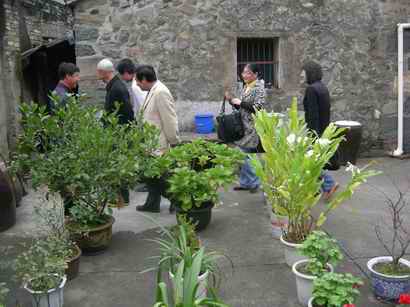 和美家园建设 和美家园建设