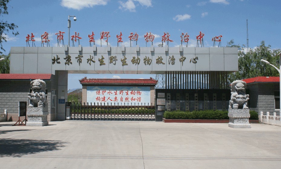 北京市水生野生动物救治中心 北京市水生野生动物救治中心