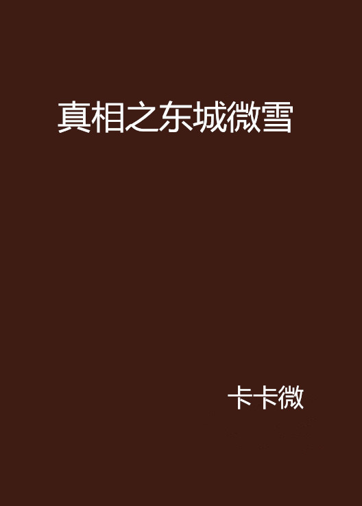 真相之东城微雪