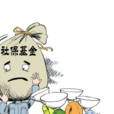 全国社会保障基金(社会保障资金) 全国社会保障基金(社会保障资金)