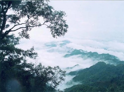 云雾山(华蓥山脉) 云雾山(华蓥山脉)