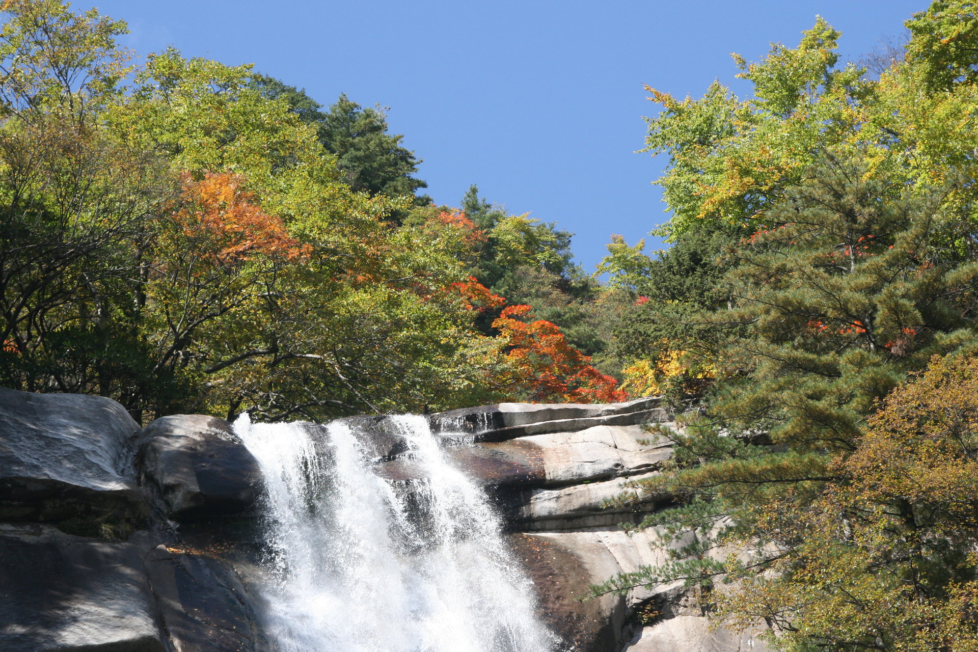 云雾山(陕西云雾山) 云雾山(陕西云雾山)
