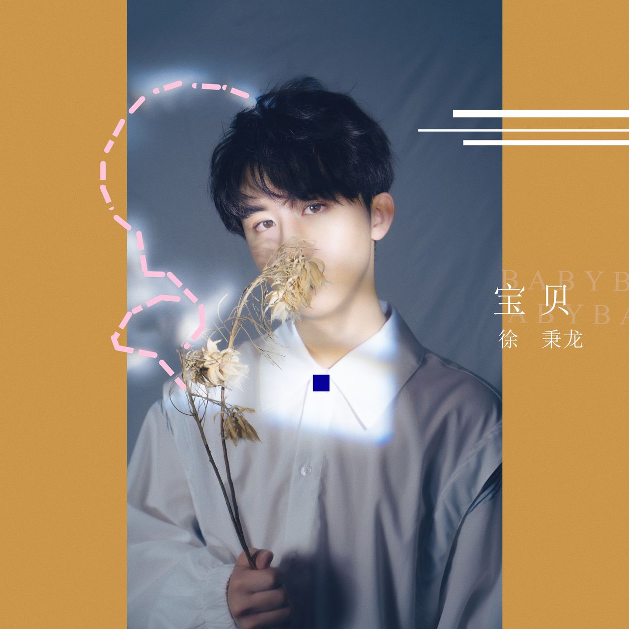 宝贝(徐秉龙演唱歌曲) 宝贝(徐秉龙演唱歌曲)
