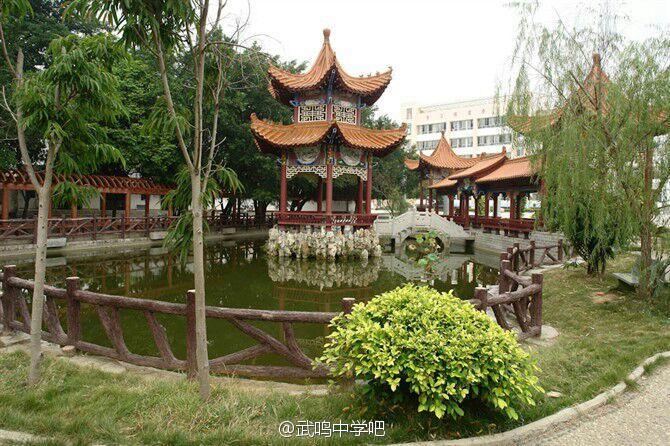 武鸣中学 武鸣中学
