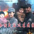 杨成武强攻东团堡 杨成武强攻东团堡