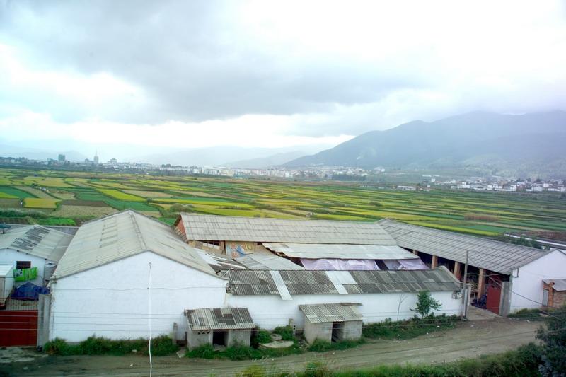 村容村貌 村容村貌