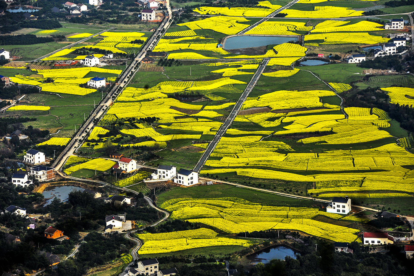 柳叶湖旅游度假区 柳叶湖旅游度假区