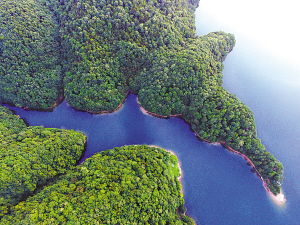 鄞江山水风情小镇卖柴岙水库 鄞江山水风情小镇卖柴岙水库