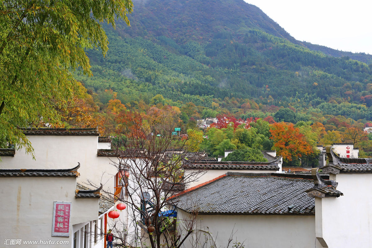 南山村(浙江杭州市余杭区瓶窑镇下辖村) 南山村(浙江杭州市余杭区瓶窑镇下辖村)