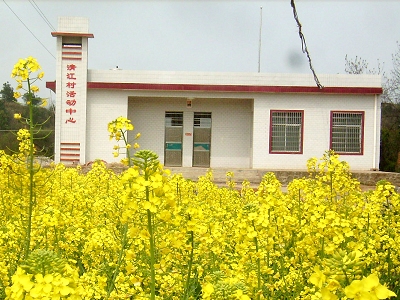 清江村(福建省莆田市荔城区黄石镇清江村) 清江村(福建省莆田市荔城区黄石镇清江村)