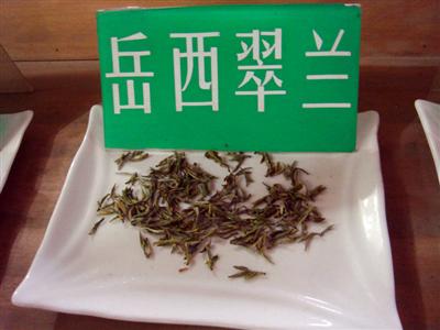 翠兰 翠兰