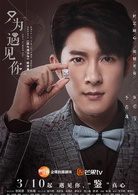 只为遇见你(2018年张铭恩、文咏珊主演电视剧)