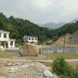 太阳村(安徽省六安市霍山县太阳乡下辖村) 太阳村(安徽省六安市霍山县太阳乡下辖村)