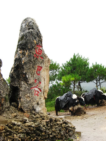 东巴谷 东巴谷