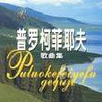 中国财政风险 中国财政风险