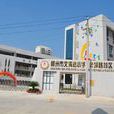 文清路国小 文清路国小