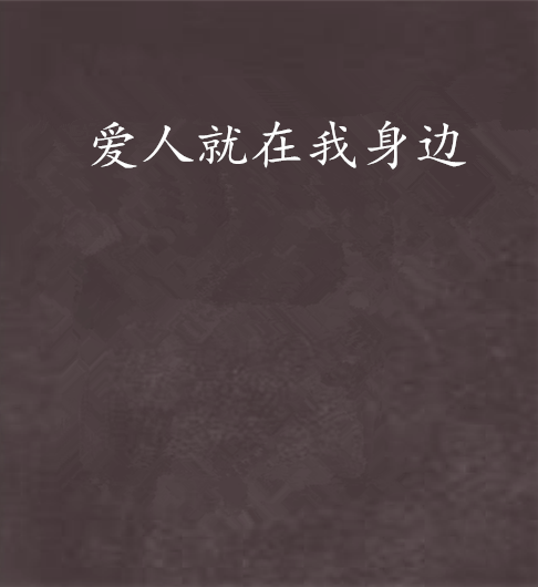 爱人就在我身边 爱人就在我身边