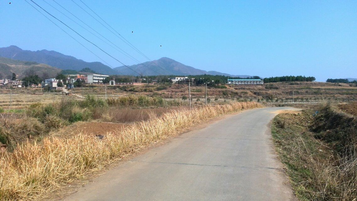 蒹葭村 蒹葭村