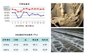 北京工道生物技术有限公司 北京工道生物技术有限公司