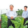 梧桐村(湖南省郴州市桂阳县雷坪镇梧桐村) 梧桐村(湖南省郴州市桂阳县雷坪镇梧桐村)