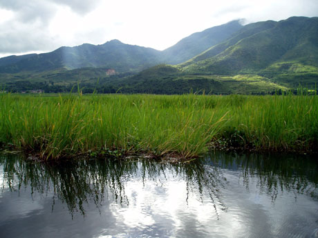 北海湿地 北海湿地