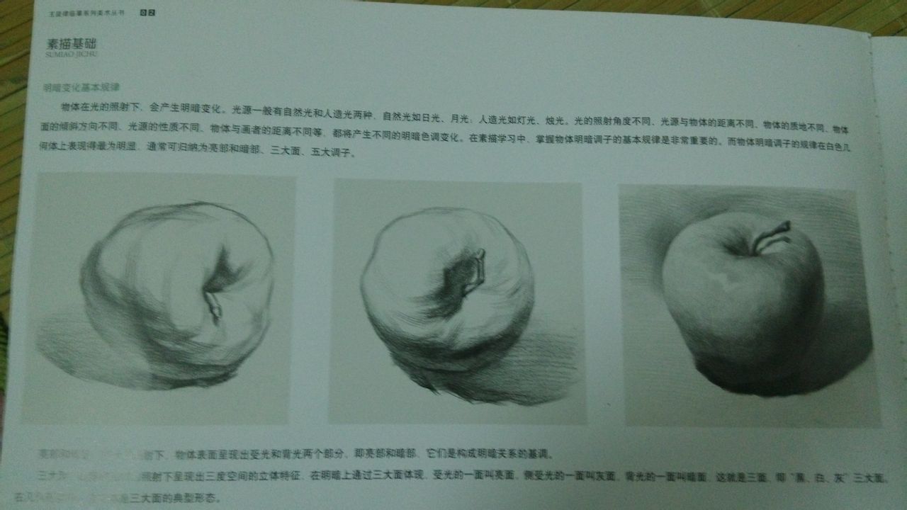 主旋律结构与明暗素描静物 主旋律结构与明暗素描静物