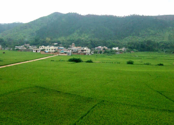 南山村委老屋村 南山村委老屋村