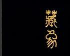 藏象 藏象