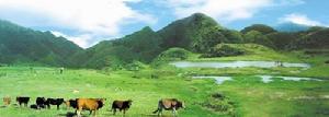 仙人洞自然风景旅游区 仙人洞自然风景旅游区