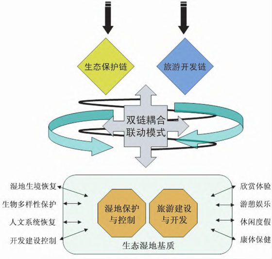 生态系统开发