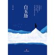 白玉劫(王珂短篇小说集) 白玉劫(王珂短篇小说集)